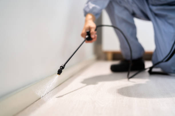 Licensed Termite Control service in Great Falls, VA - Nex Pest Control