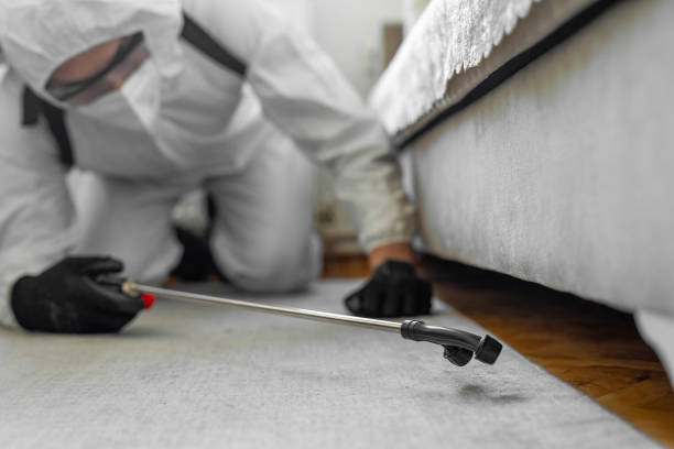 Professional Termite Control technician working in Great Falls, VA