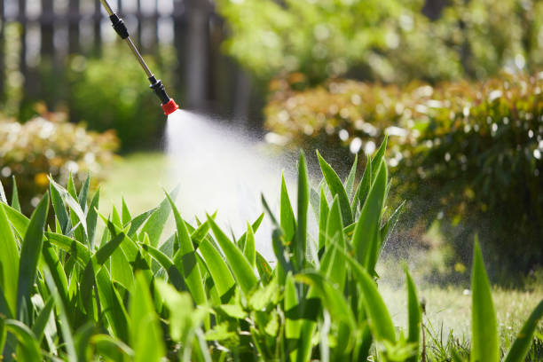 24/7 Emergency Termite Control experts in Great Falls, VA