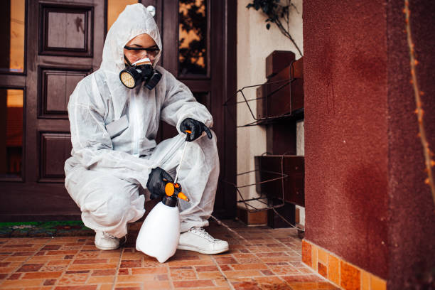 Reliable Termite Control contractor in Great Falls, VA by Nex Pest Control