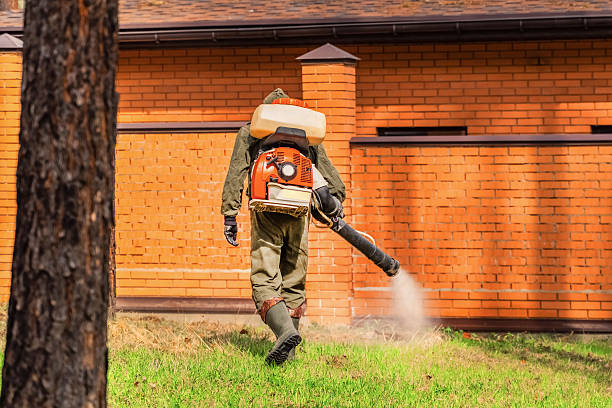 Top rated local Termite Control specialists in Great Falls, VA